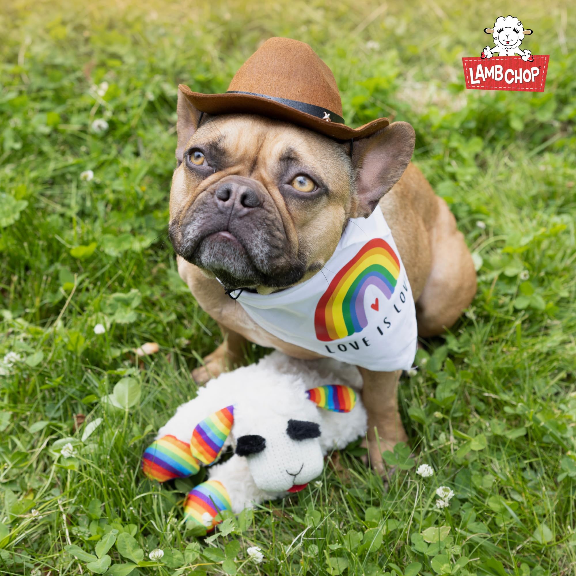 Squeaky Plush Dog Toy