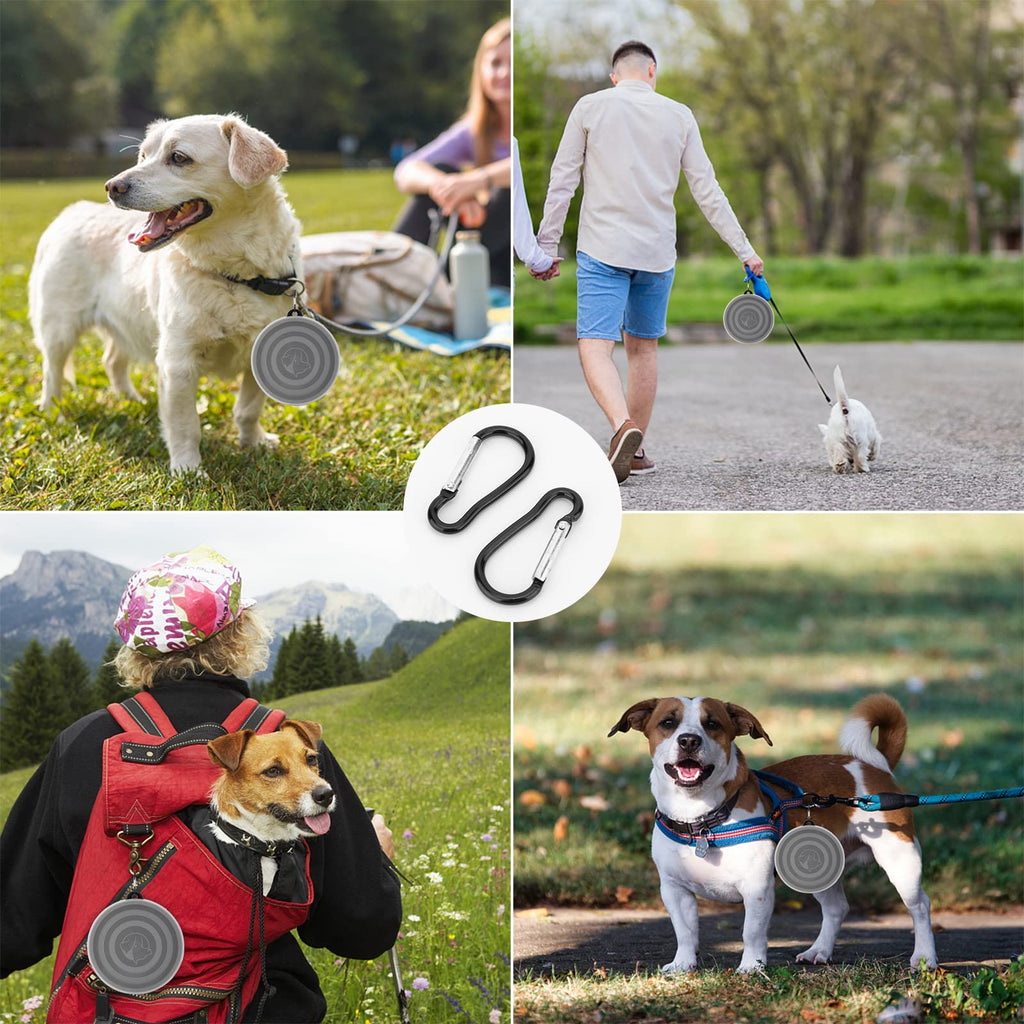 Collapsible Travel Pet Bowls Set