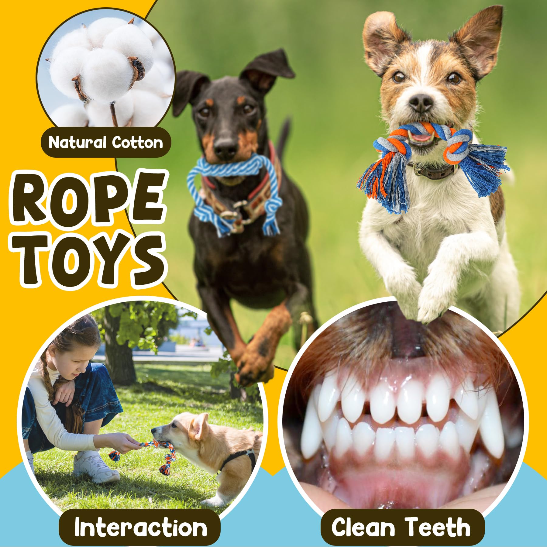Puppy Teething Toy Set (9 Pack)
