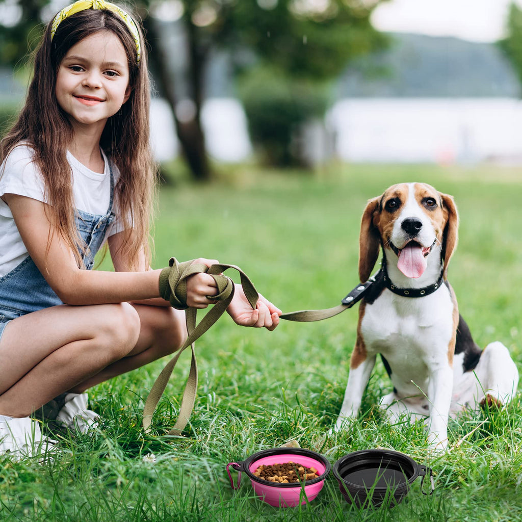 Collapsible Pet Travel Bowls Set