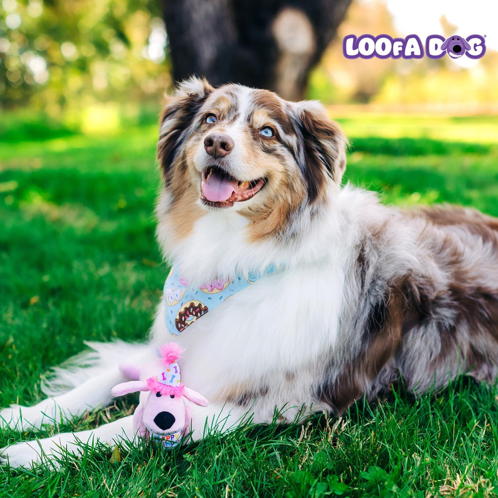 Squeaky Reindeer Plush Dog Toy