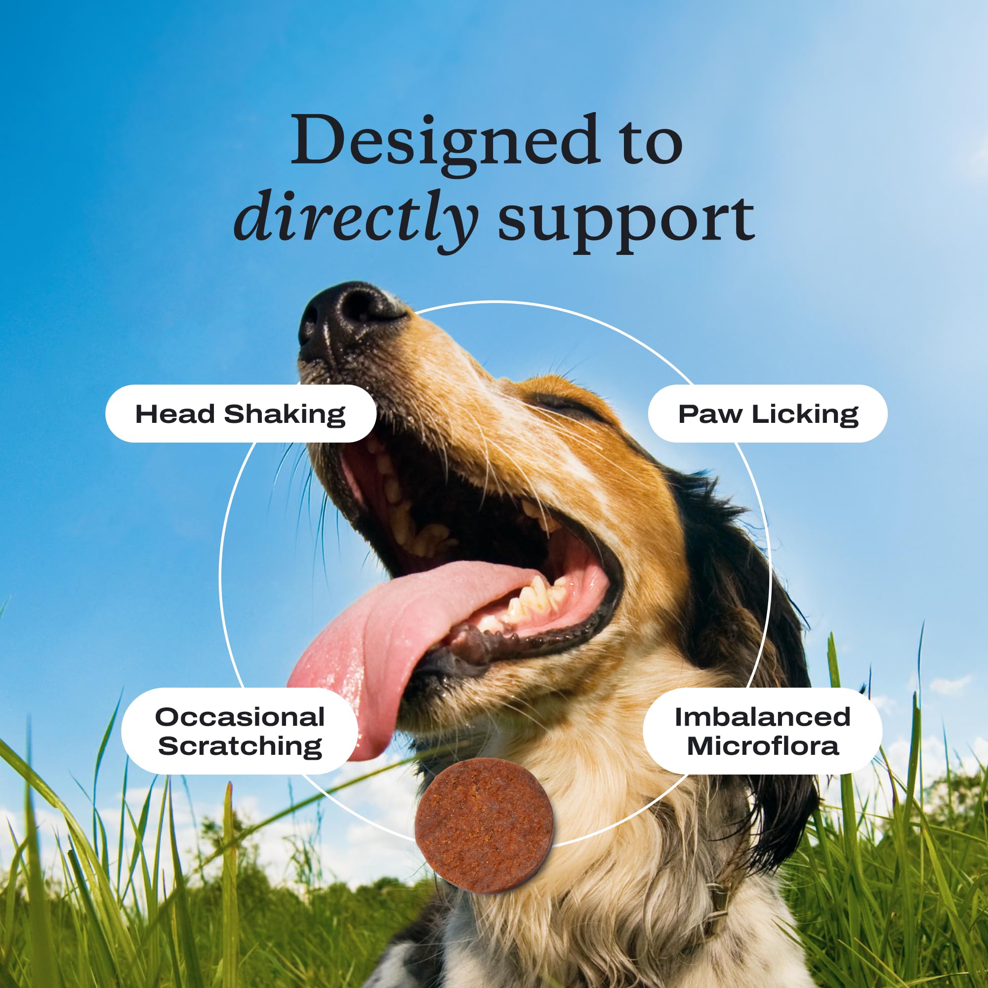 PetLab Co. Allergy & Immune
