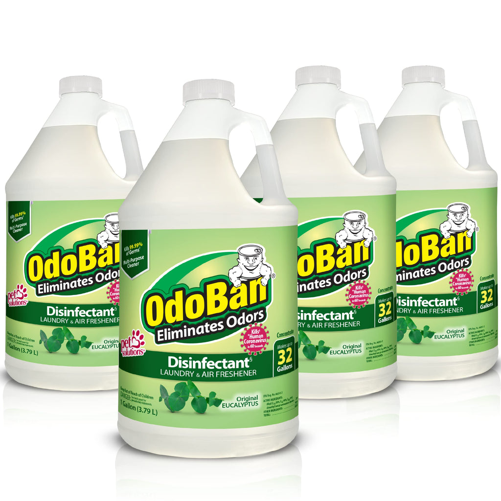 Disinfectant & Odor Eliminator Concentrate