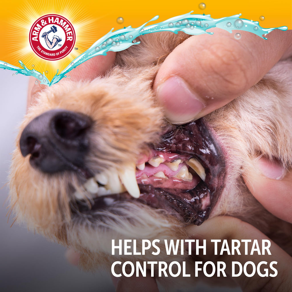 Dog Dental Water Additive