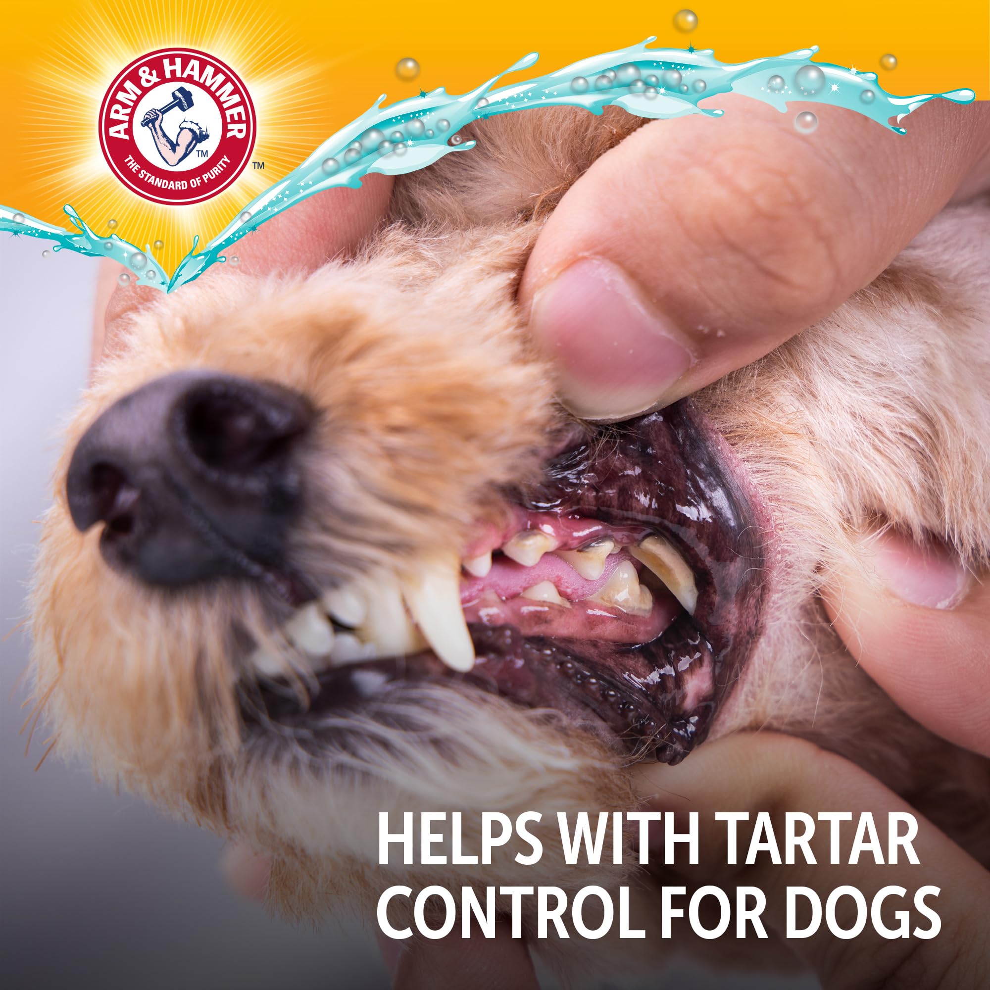 Dog Dental Water Additive