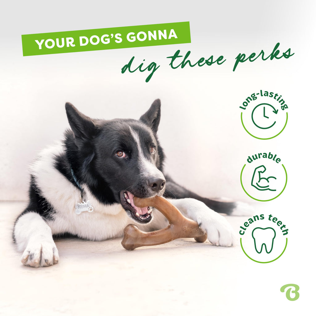Wishbone Dog Chew Toy