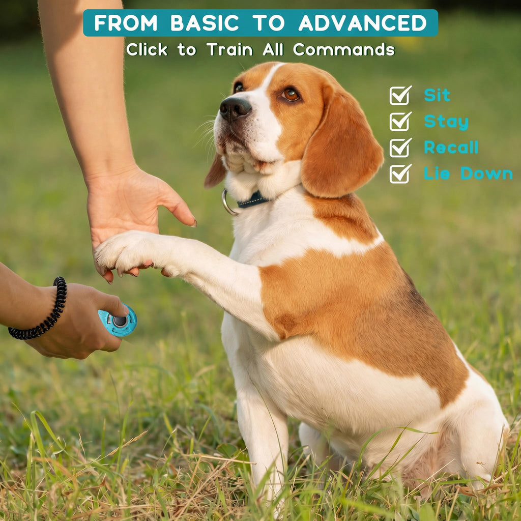 Pet Training Clicker Set