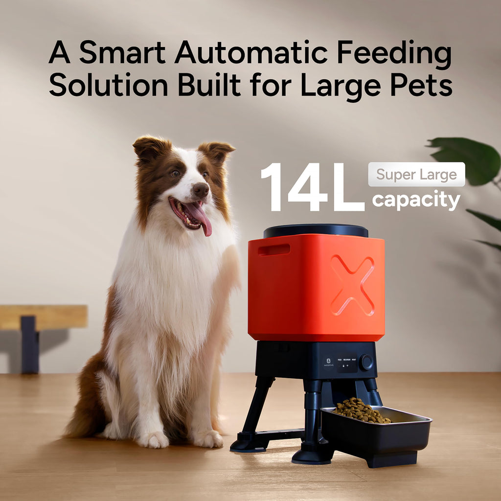 14L Automatic Dog Feeder