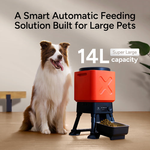 14L Automatic Dog Feeder