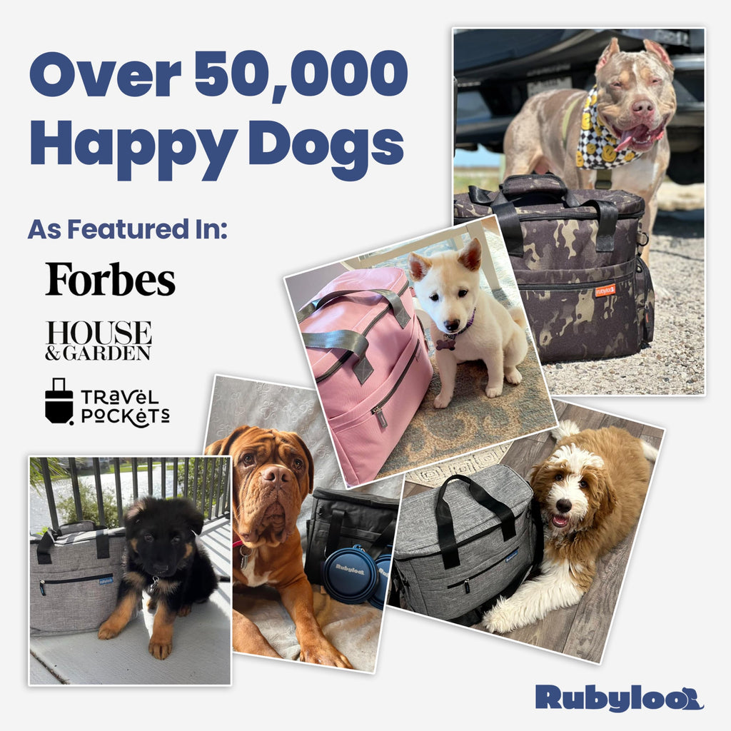 Pet Travel Feeding Kit