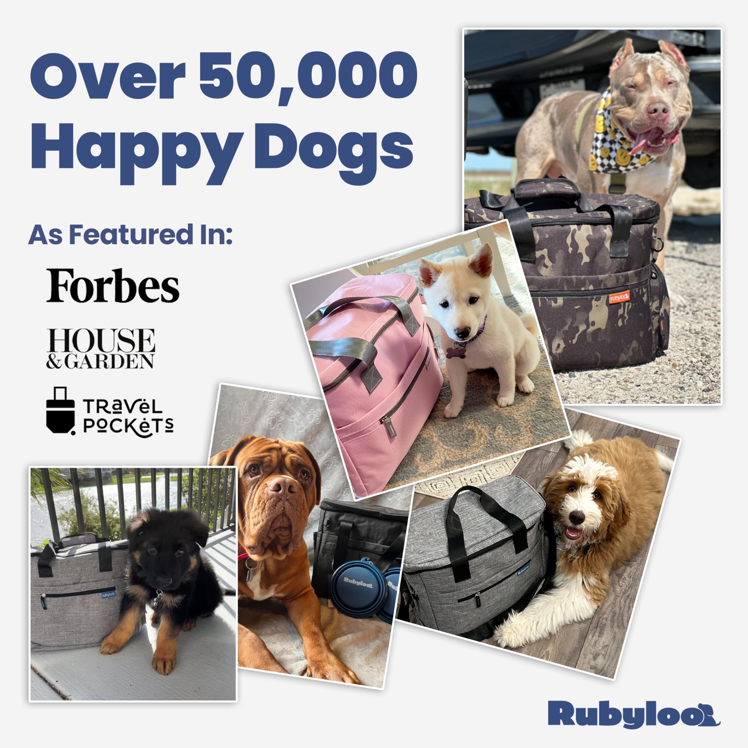 Pet Travel Feeding Kit