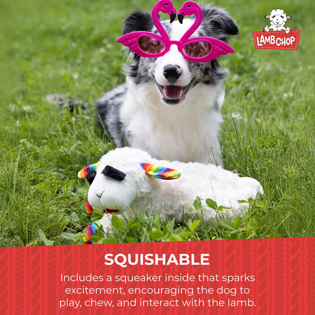 Squeaky Plush Dog Toy