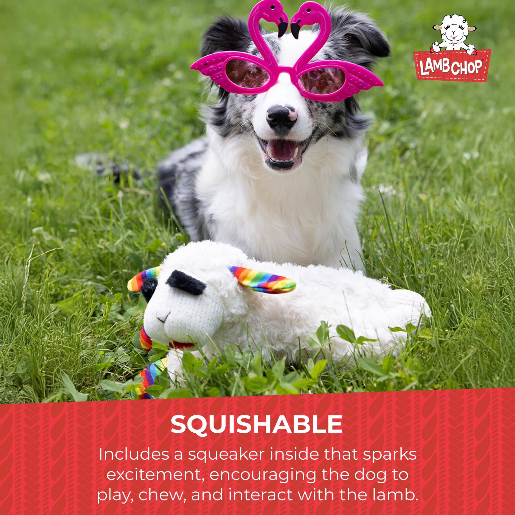 Squeaky Plush Dog Toy