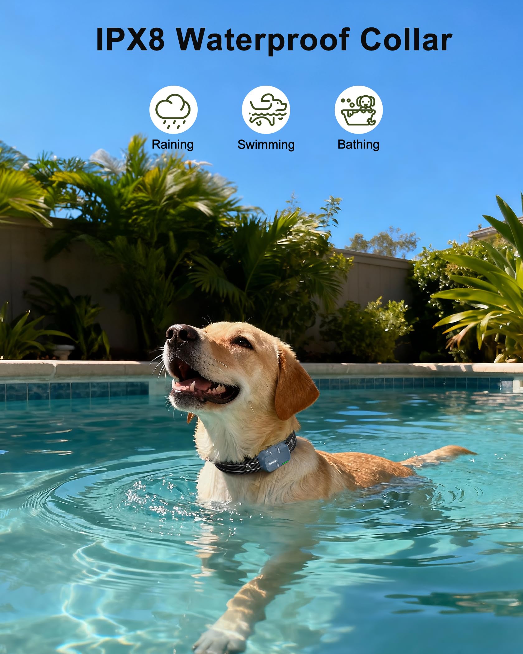 Waterproof Remote Dog Training Collar