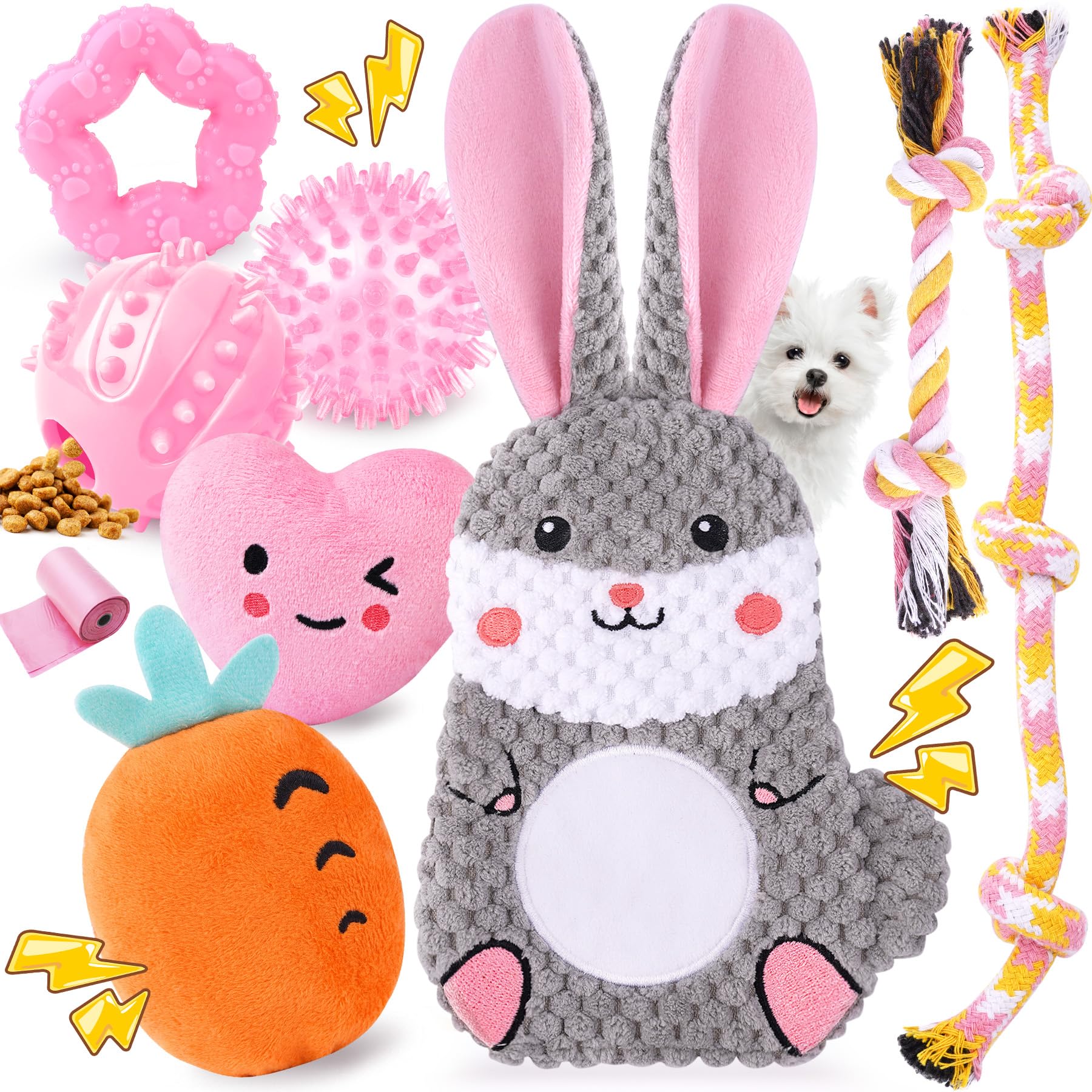 Puppy Teething Toy Set (9 Pack)