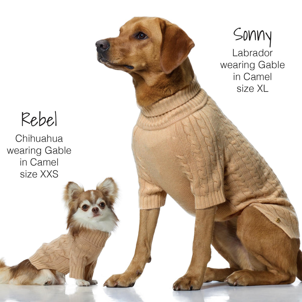 Pet Passion Dog Sweater
