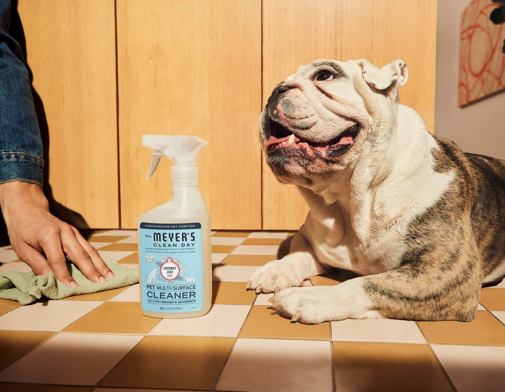 Mrs. MEYER'S CLEAN DAY Pet Multi-Surface Cleaner