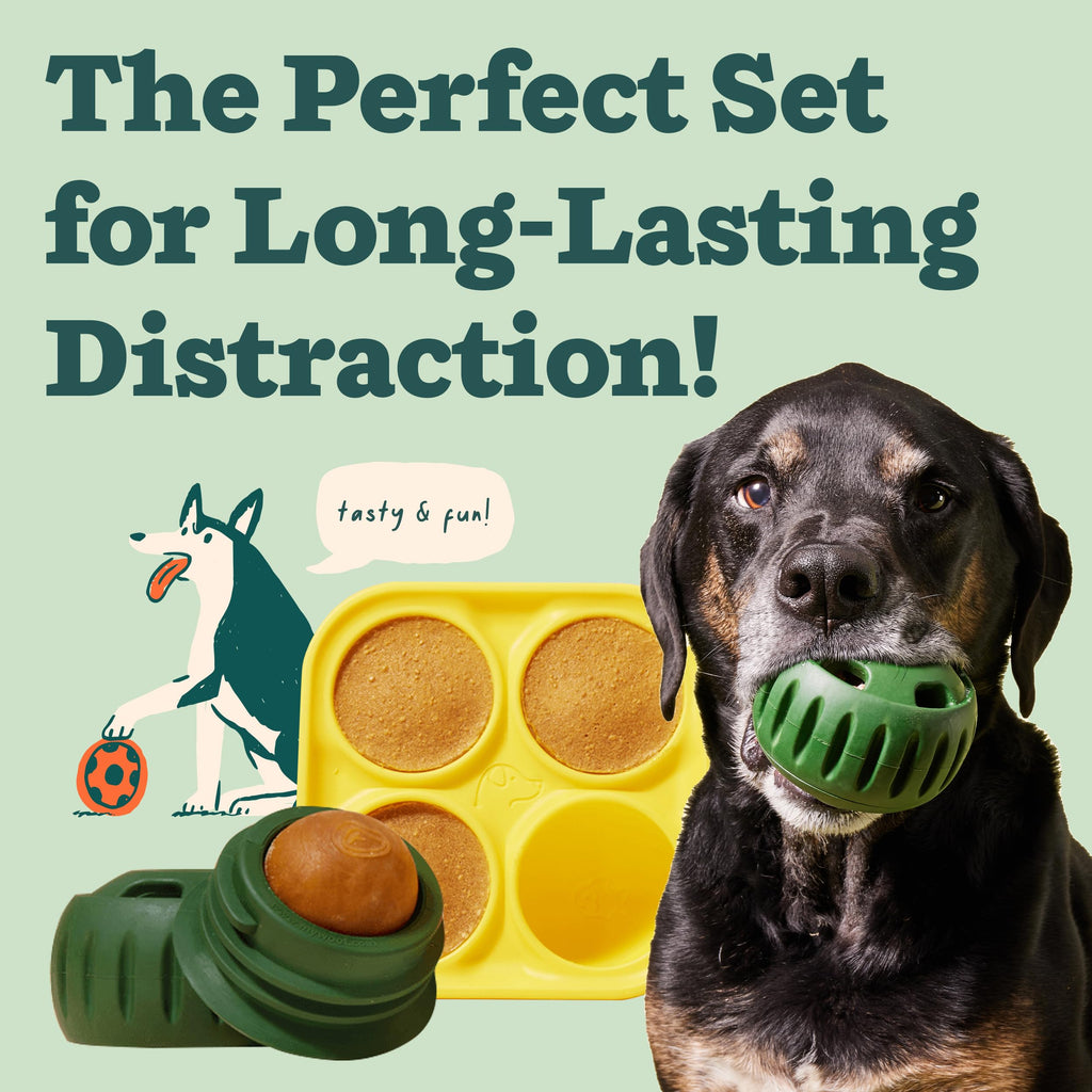 Interactive Treat Ball Toy