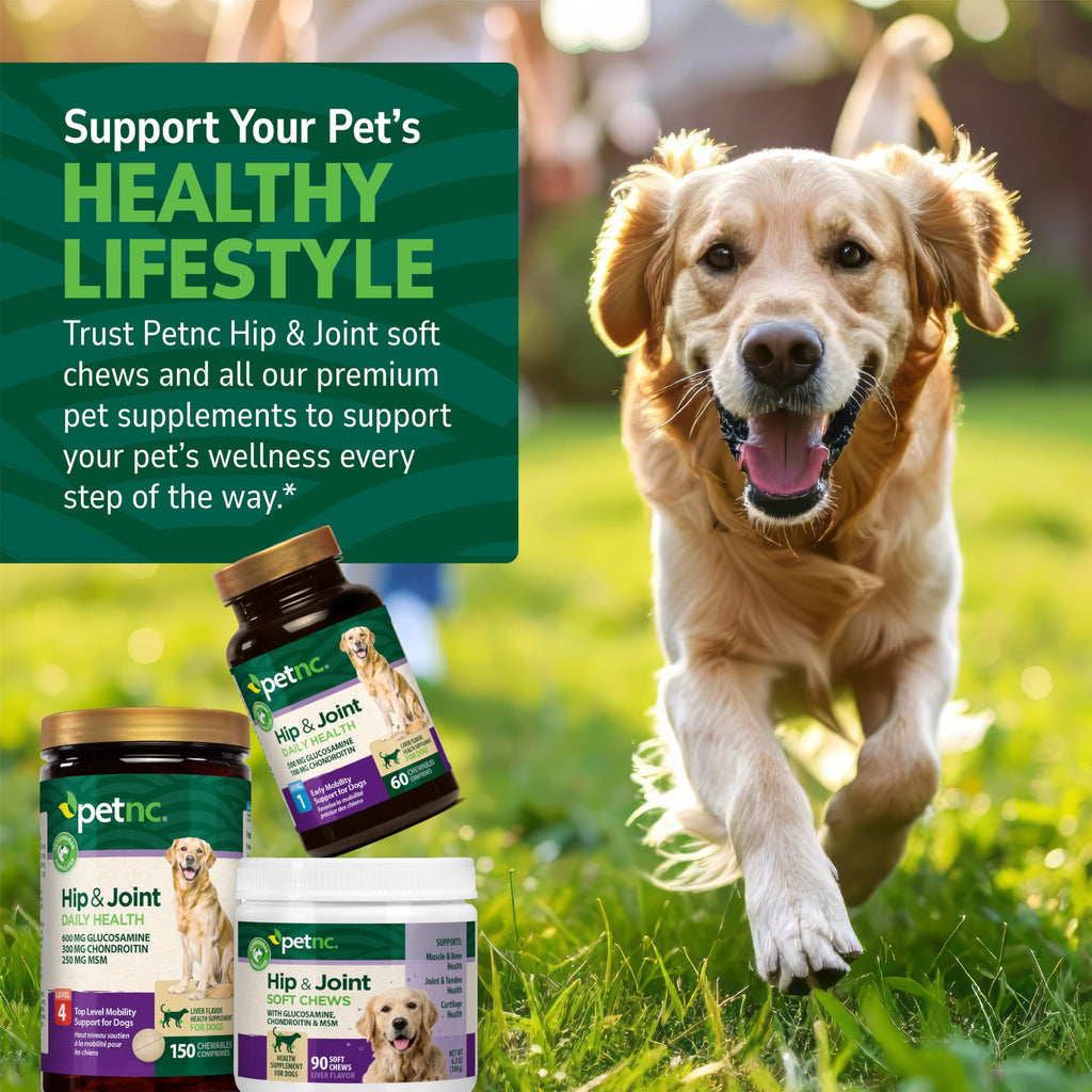 Hip & Joint Support Dog Chews