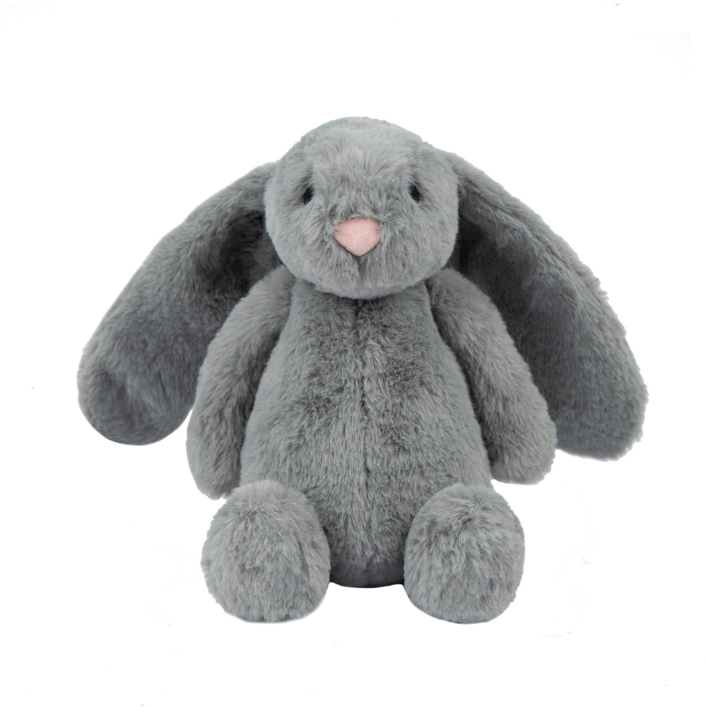 Interactive Squeaky Dog Toy