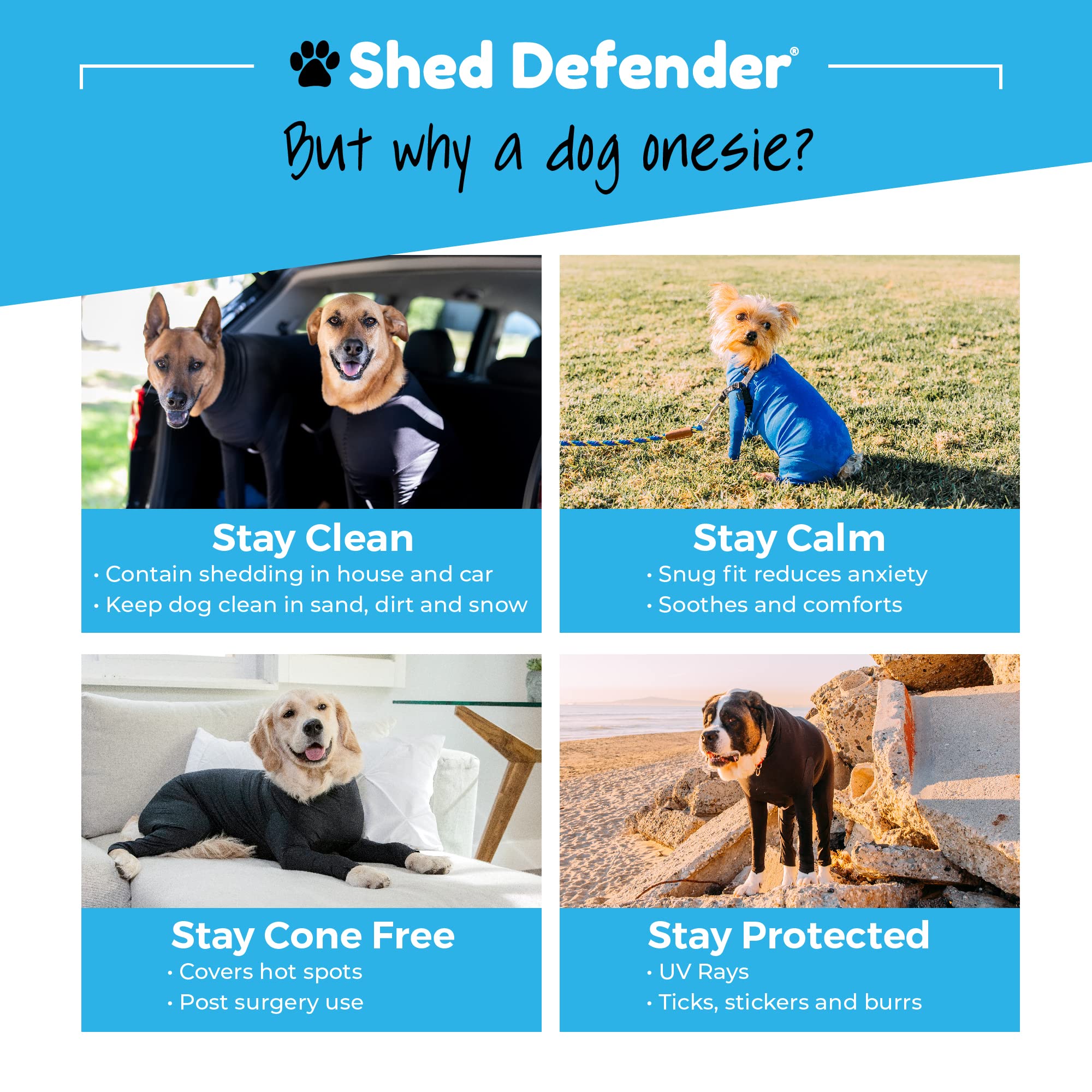 Dog Recovery Onesie