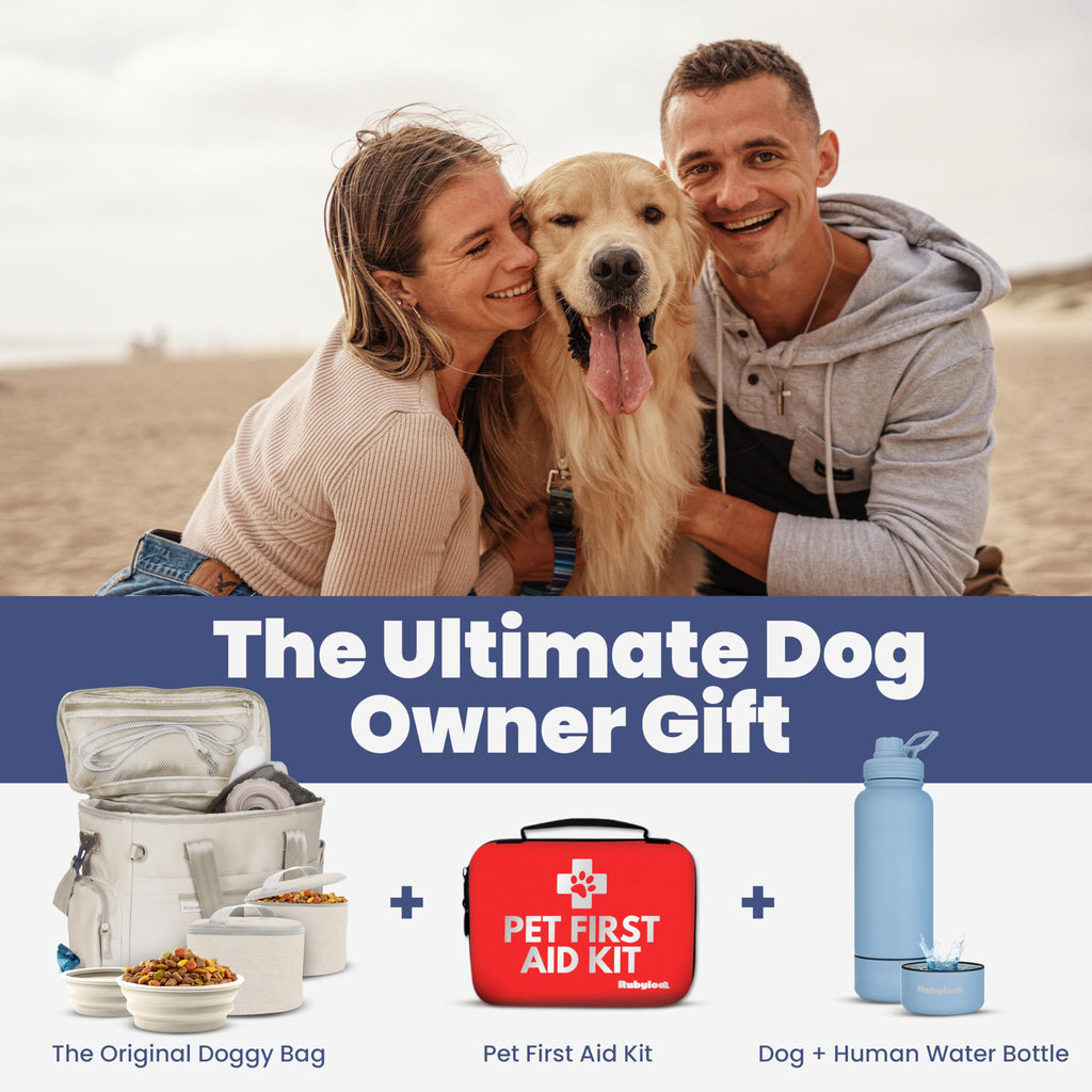 Pet Travel Feeding Kit