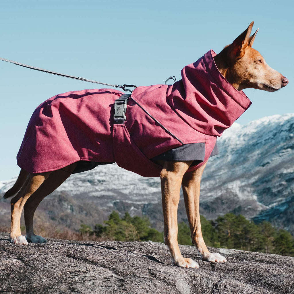 Hurtta Expedition Parka