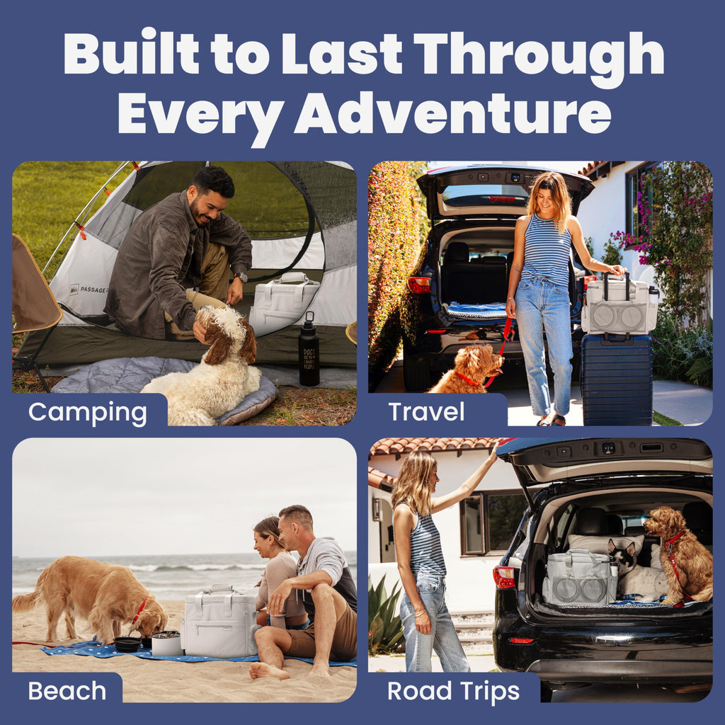 Pet Travel Feeding Kit